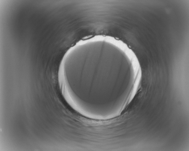 X0000063480039200602172035