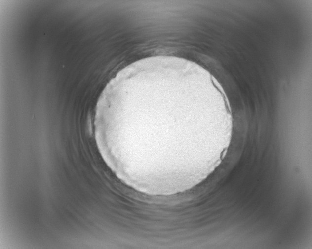 X0000063480046200602172035