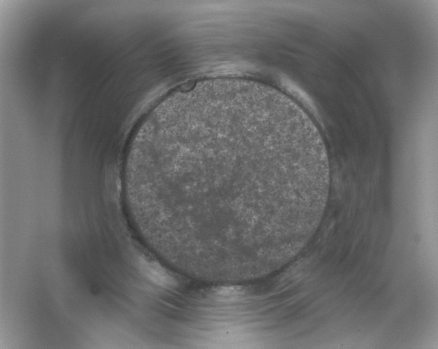X0000063480059200602172035