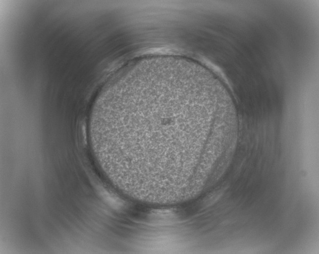 X0000063480061200602172035