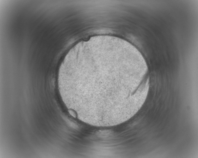 X0000063480063200602172035