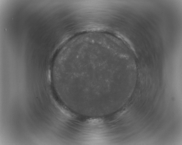 X0000063480067200602172035