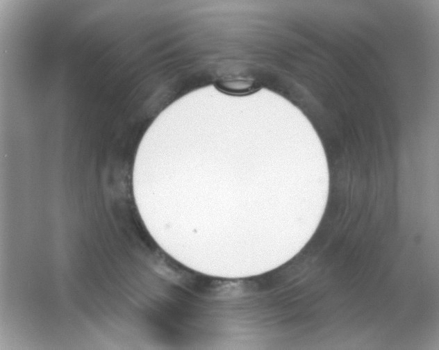 X0000063480083200602172035