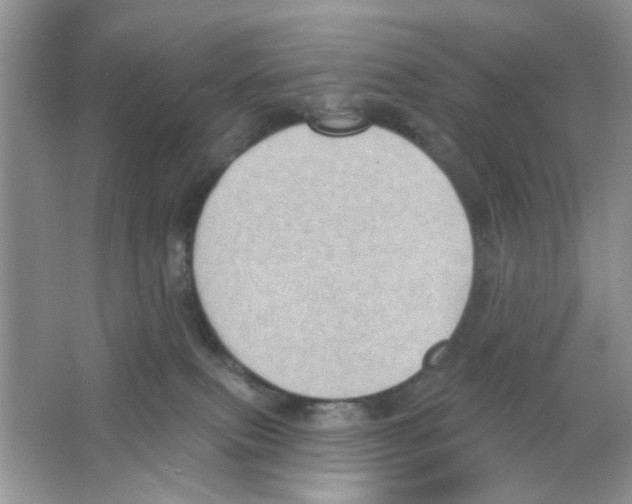 X0000063480087200602172035