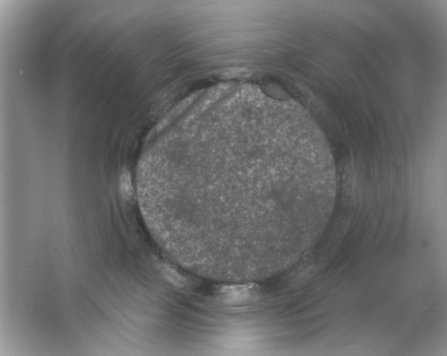 X0000063480089200602172035