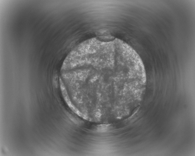 X0000063480090200602172035