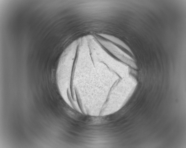 X0000063480093200602172035