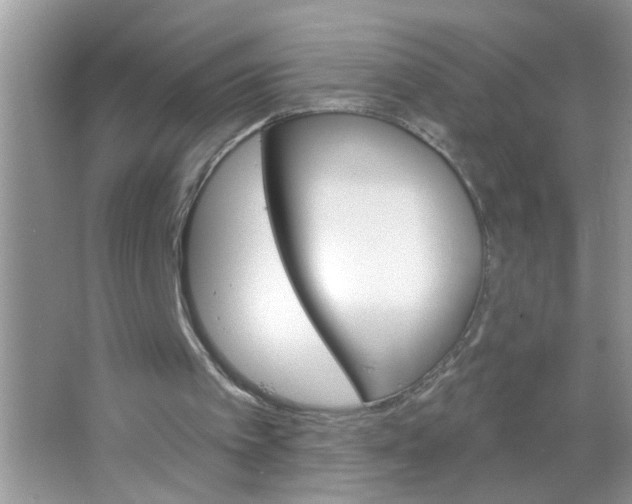 X0000063480097200602172034