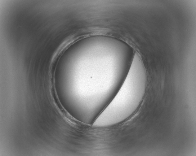 X0000063480101200602172034