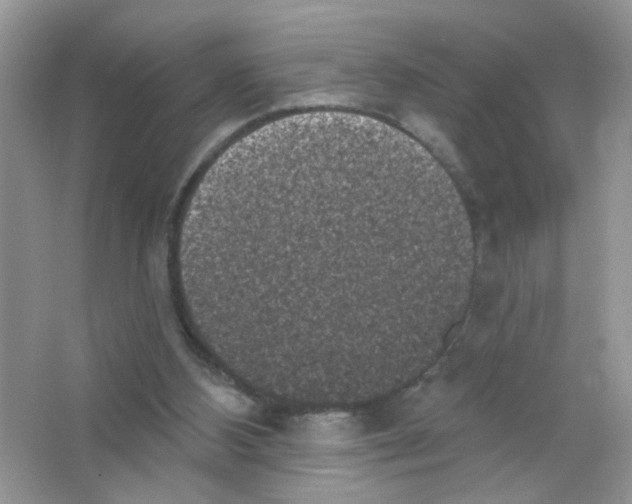 X0000063480108200602172034