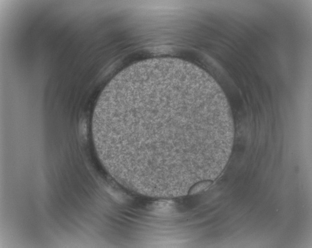 X0000063480124200602172034