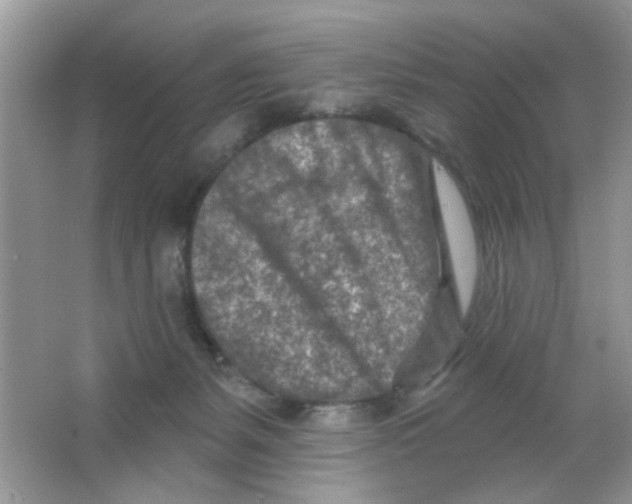 X0000063480127200602172034