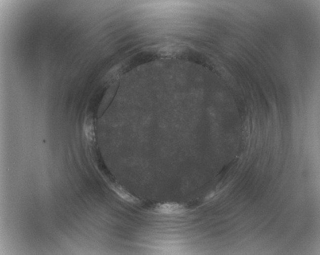 X0000063480137200602172034