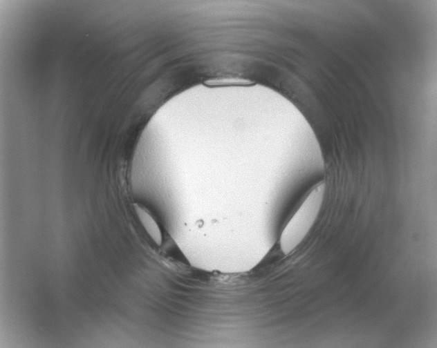 X0000063480141200602172034