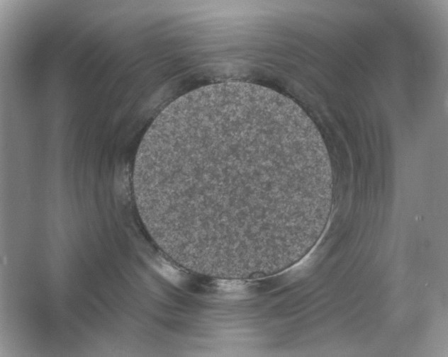 X0000063480144200602172034