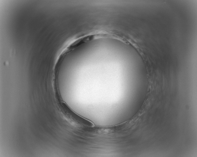 X0000063480152200602172033