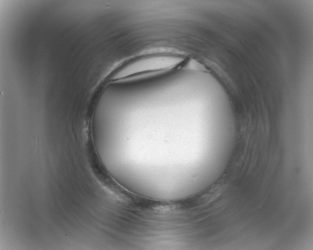 X0000063480160200602172033