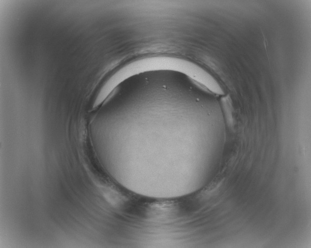 X0000063480164200602172033