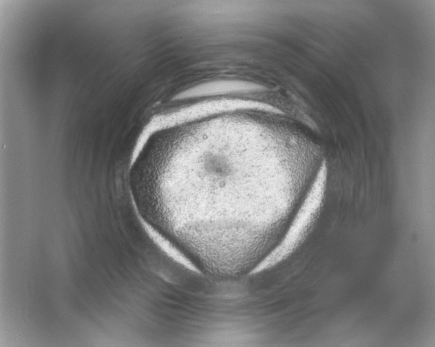 X0000063480169200602172033