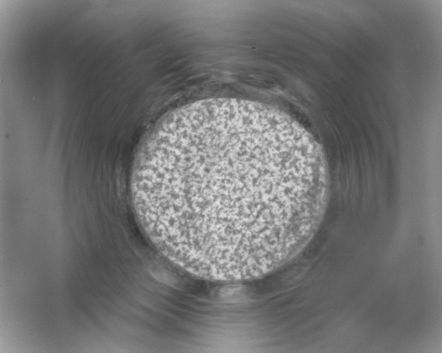 X0000063480173200602172033
