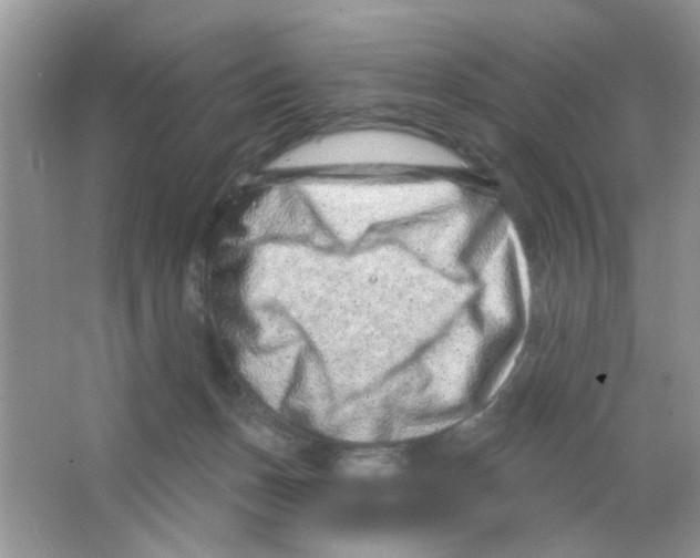 X0000063480175200602172033