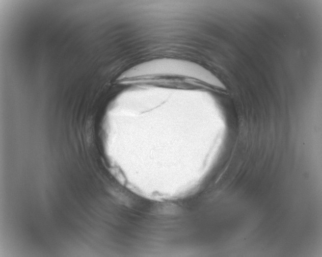 X0000063480189200602172033