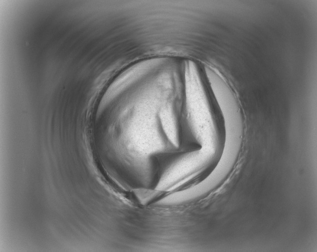 X0000063480193200602172033