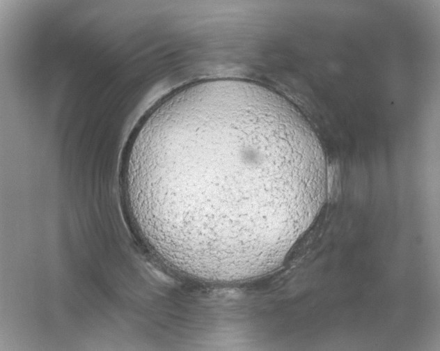 X0000063480195200602172033