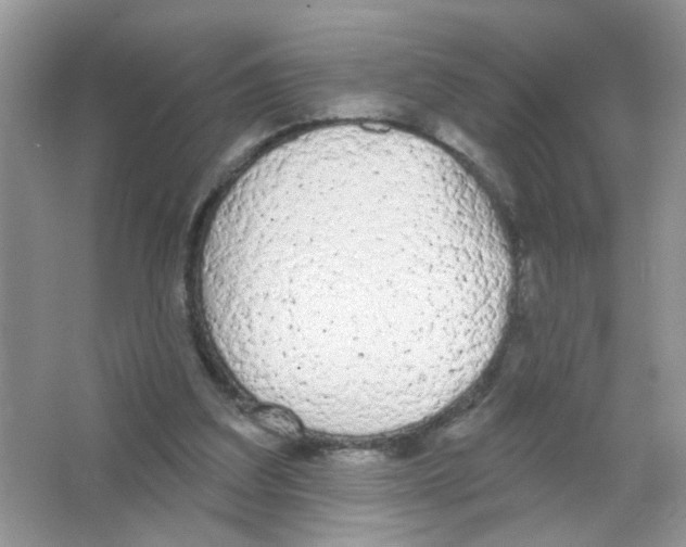 X0000063480203200602172032