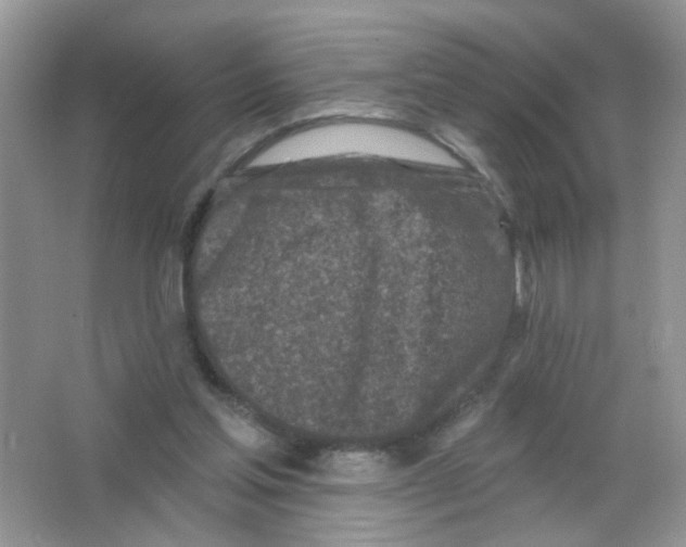 X0000063480205200602172032