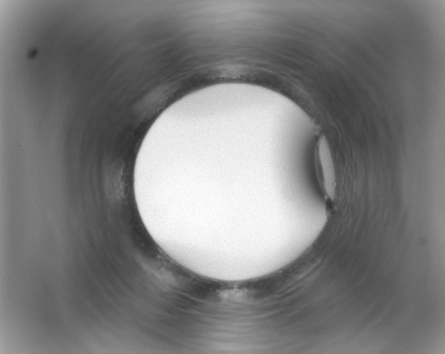 X0000063480216200602172032