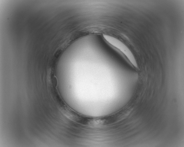 X0000063480217200602172032