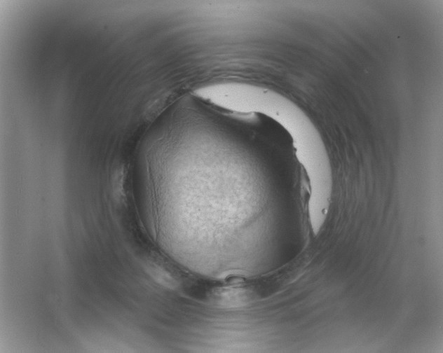 X0000063480219200602172032