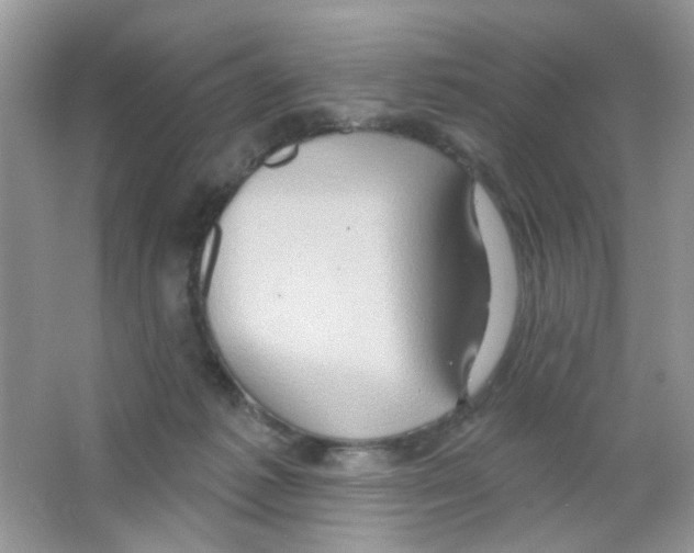 X0000063480221200602172032