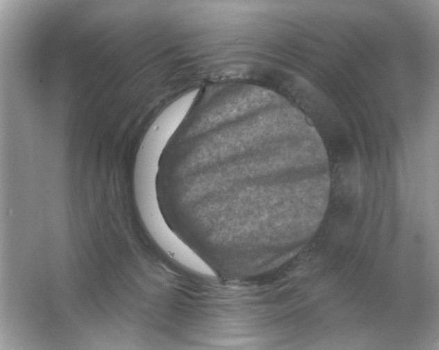 X0000063480224200602172032