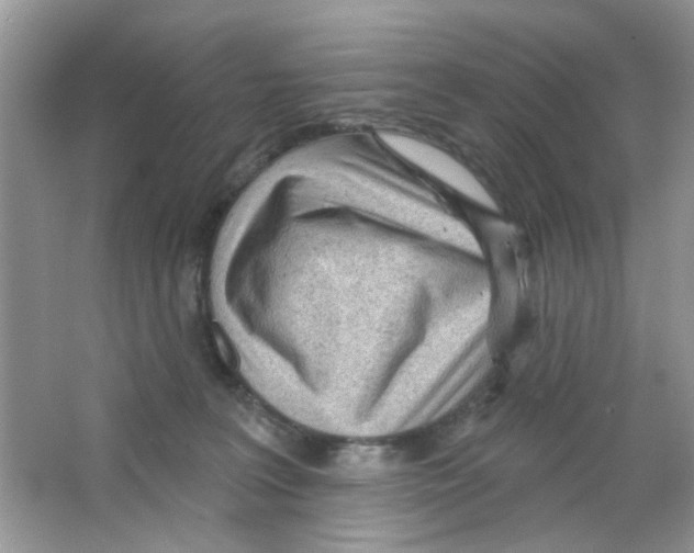 X0000063480227200602172032
