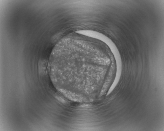 X0000063480237200602172032
