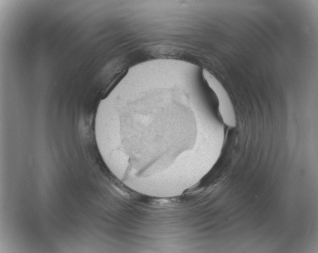 X0000063480239200602172032