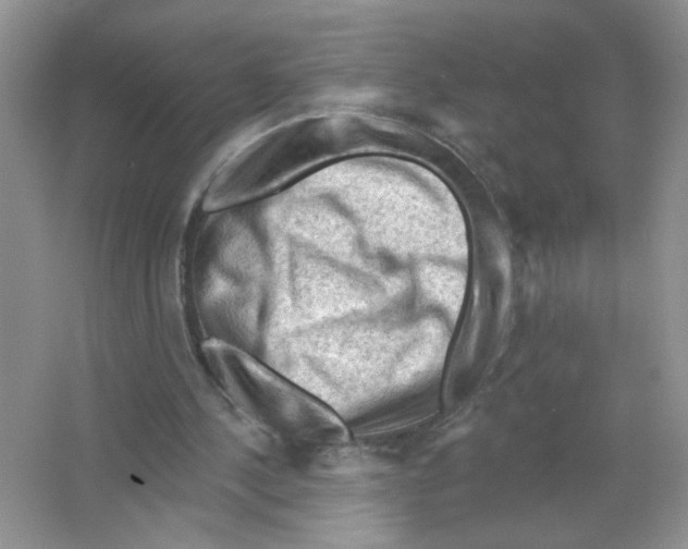 X0000063480244200602172031