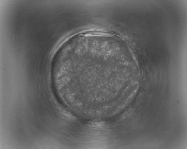 X0000063480247200602172031