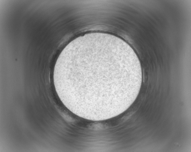 X0000063480253200602172031