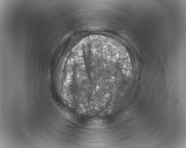 X0000063480260200602172031