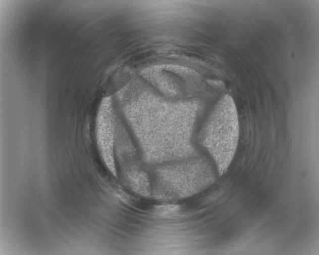 X0000063480266200602172031