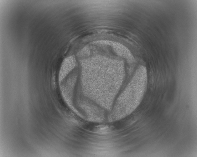 X0000063480267200602172031