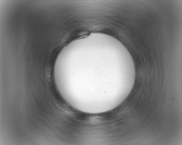 X0000063480268200602172031