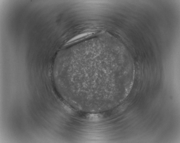 X0000063480277200602172031