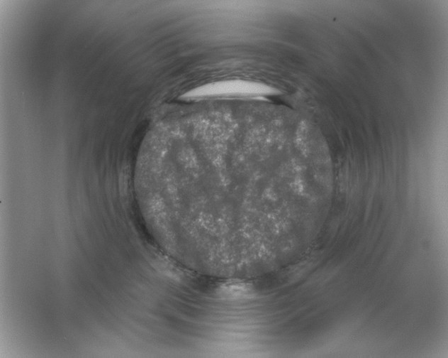 X0000063480283200602172032