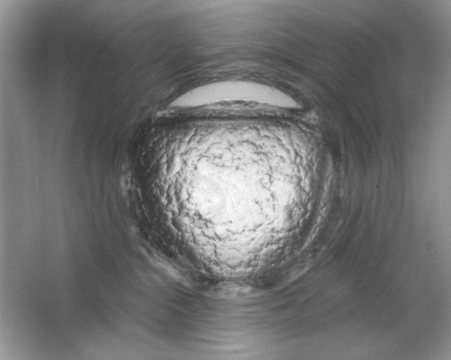 X0000063480284200602172032