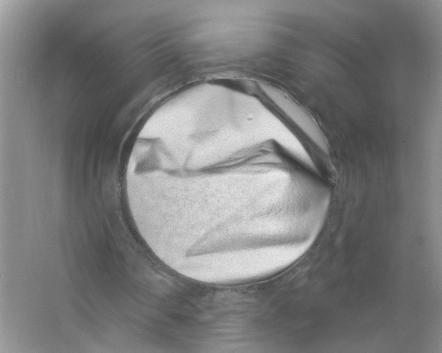 X0000063480290200602172031