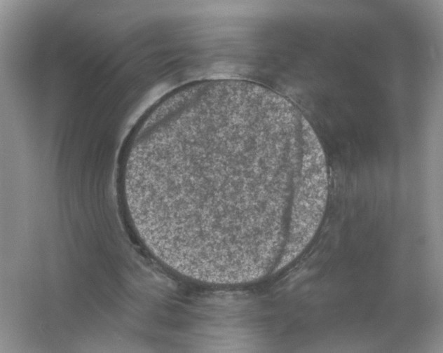 X0000063480292200602172031